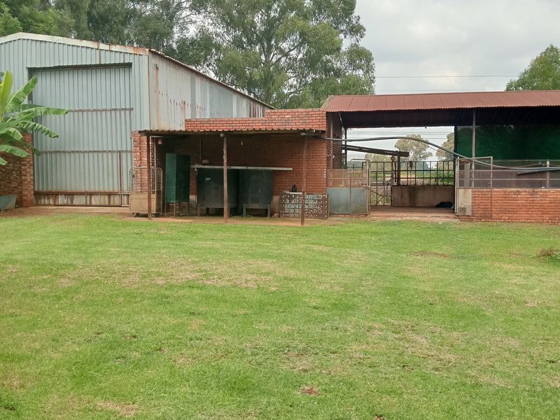 Prime land for sale - Photo 2