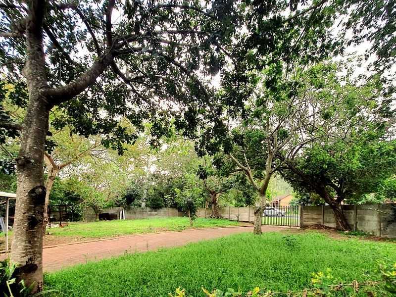 Charming Family Home - Photo 8