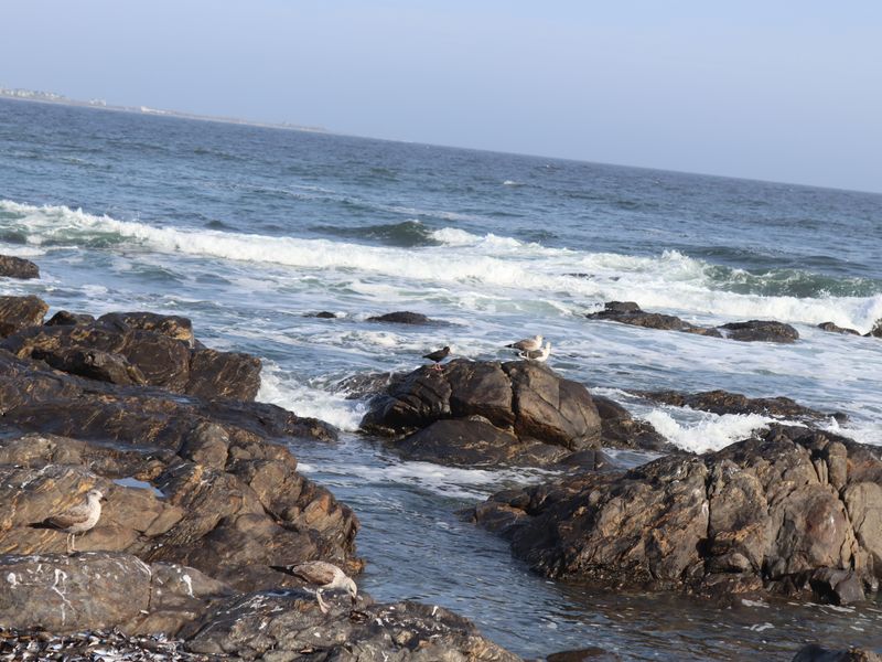 Vacant land for Sale in Sandy Point, St Helena Bay - Photo 10