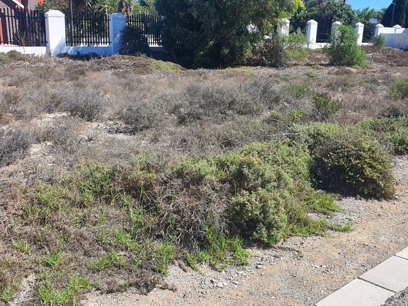 Prime level land in the prestigious Cape West Coast Seaside Shelley Point Golf Estate - Photo 1
