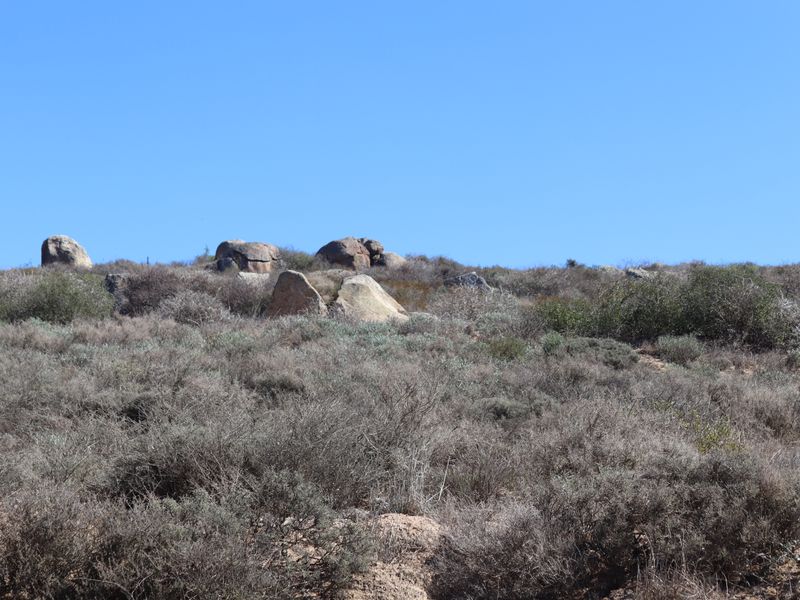 Magnificent all-embracing views - Photo 8