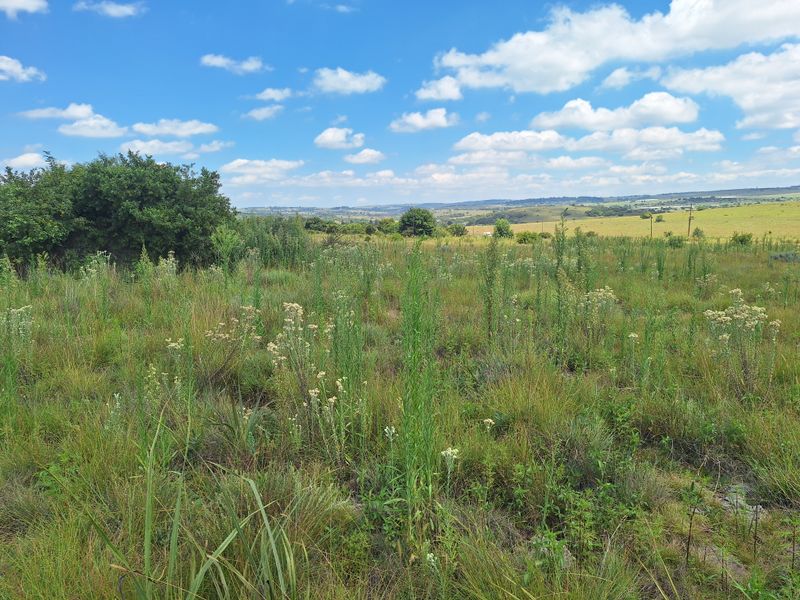 VACANT LAND FOR SALE – KRUGERSDORP - Photo 10