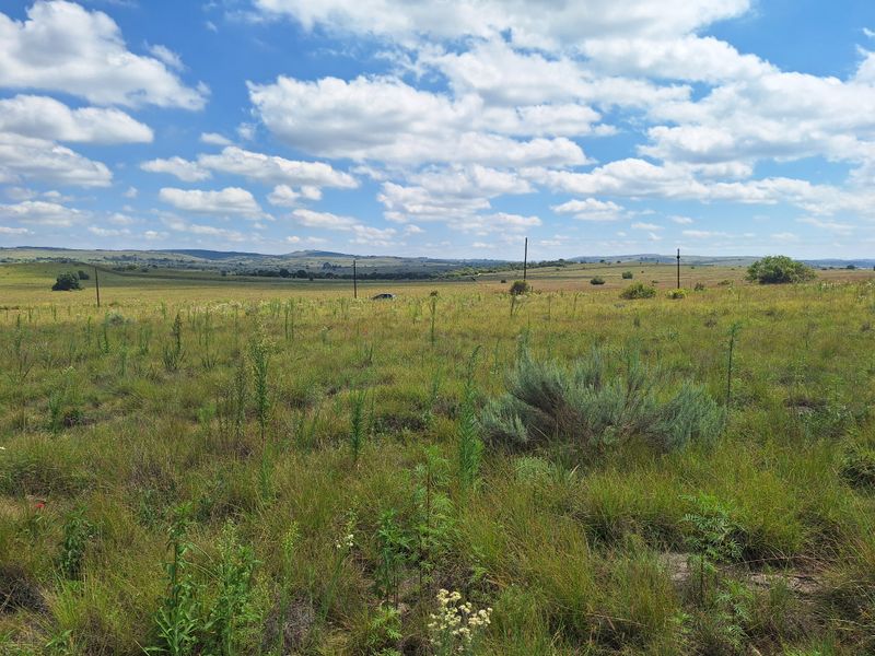 VACANT LAND FOR SALE – KRUGERSDORP - Photo 7