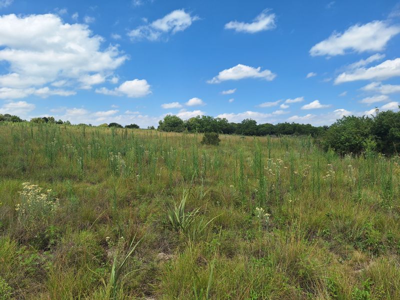 VACANT LAND FOR SALE – KRUGERSDORP - Photo 6