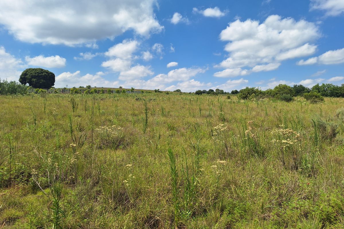 VACANT LAND FOR SALE – KRUGERSDORP - Photo 5