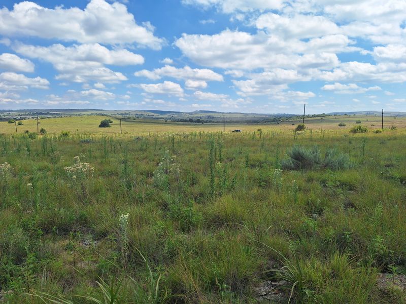 VACANT LAND FOR SALE – KRUGERSDORP - Photo 9