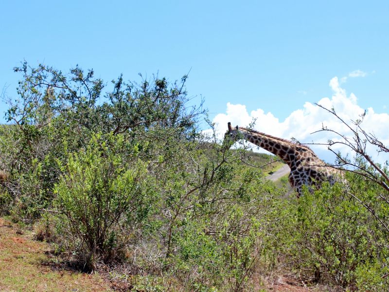 Panoramic River Views in Riverview Waterfront Estate, Port Alfred - Photo 5