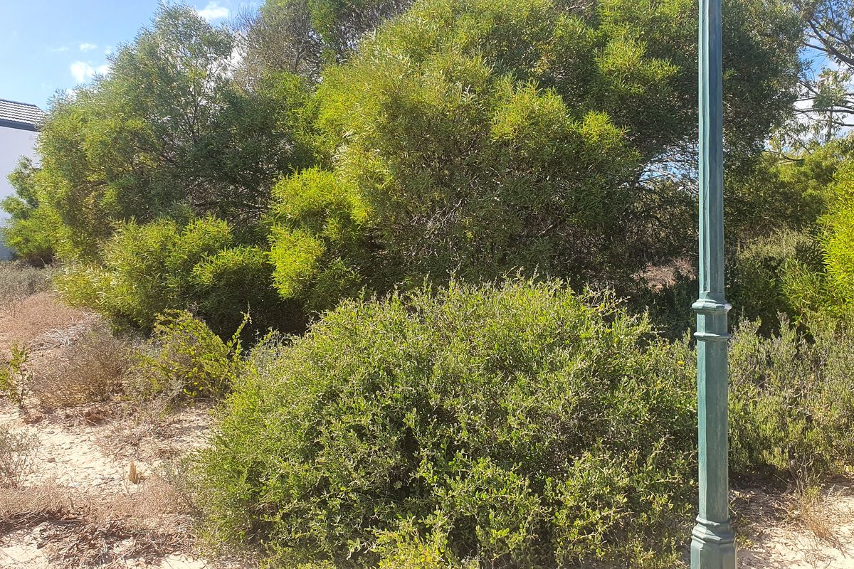 Build your dream home in Shelley Point secure seaside golf estate - Photo 2