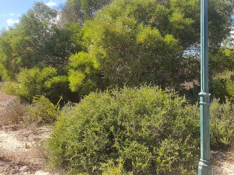 Build your dream home in Shelley Point secure seaside golf estate - Photo 2