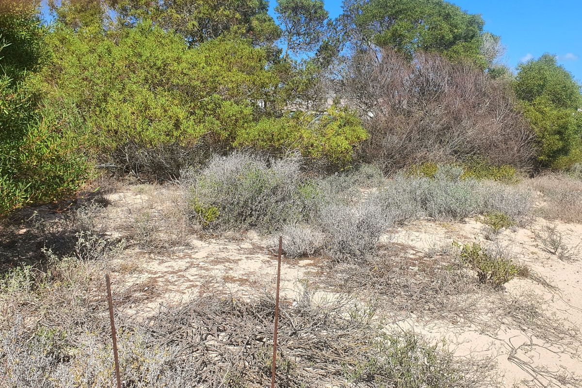Build your dream home in Shelley Point secure seaside golf estate - Photo 3