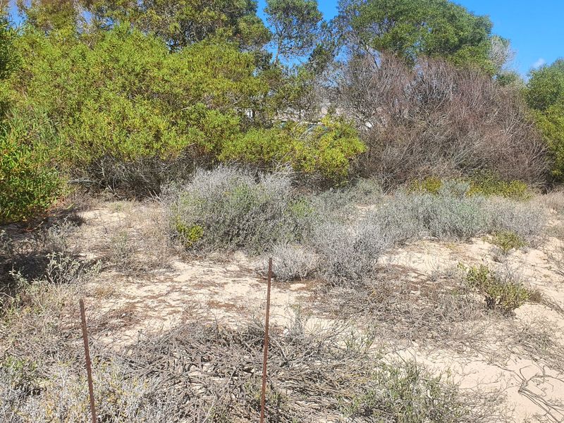 Build your dream home in Shelley Point secure seaside golf estate - Photo 3