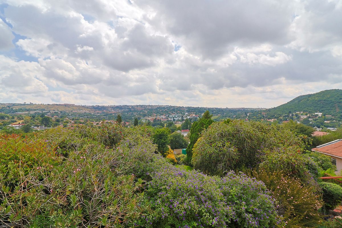 Your Own Hidden Paradise – Mini Sun City Luxury & Boundless Potential - Photo 4