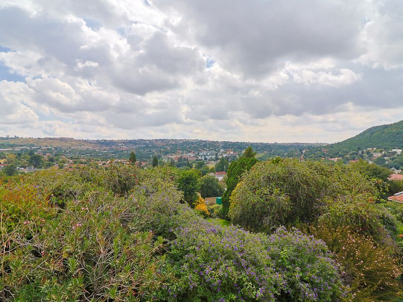 Your Own Hidden Paradise – Mini Sun City Luxury & Boundless Potential - Photo 4