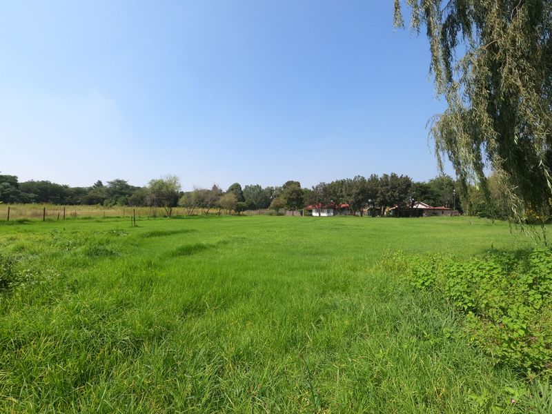 Prime Investment & Development Opportunity in Glen Austin - Photo 10