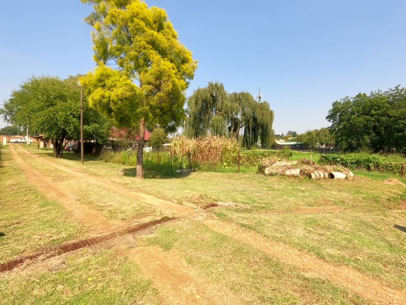 Prime Investment & Development Opportunity in Glen Austin - Photo 8