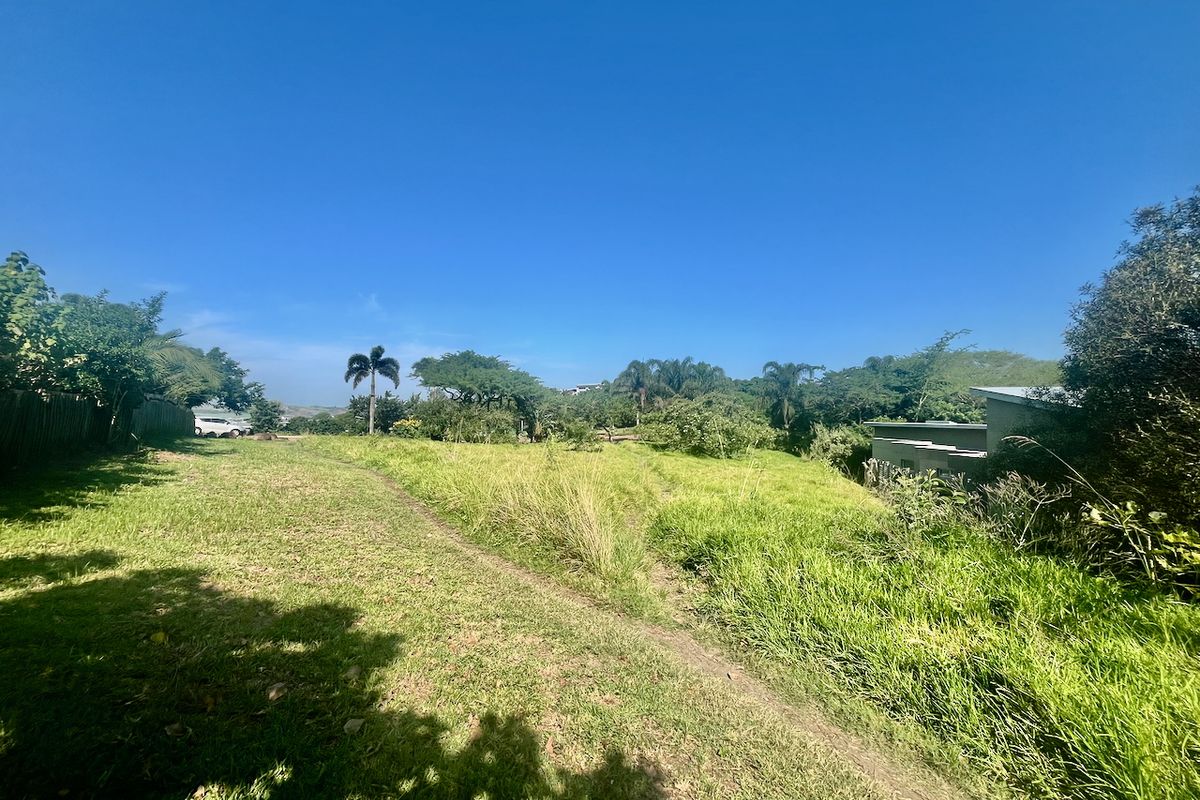EXCLUSIVE LAND OPPORTUNITY IN PALM LAKES ESTATE - Photo 4