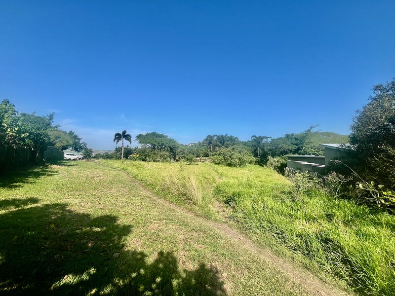 EXCLUSIVE LAND OPPORTUNITY IN PALM LAKES ESTATE - Photo 4