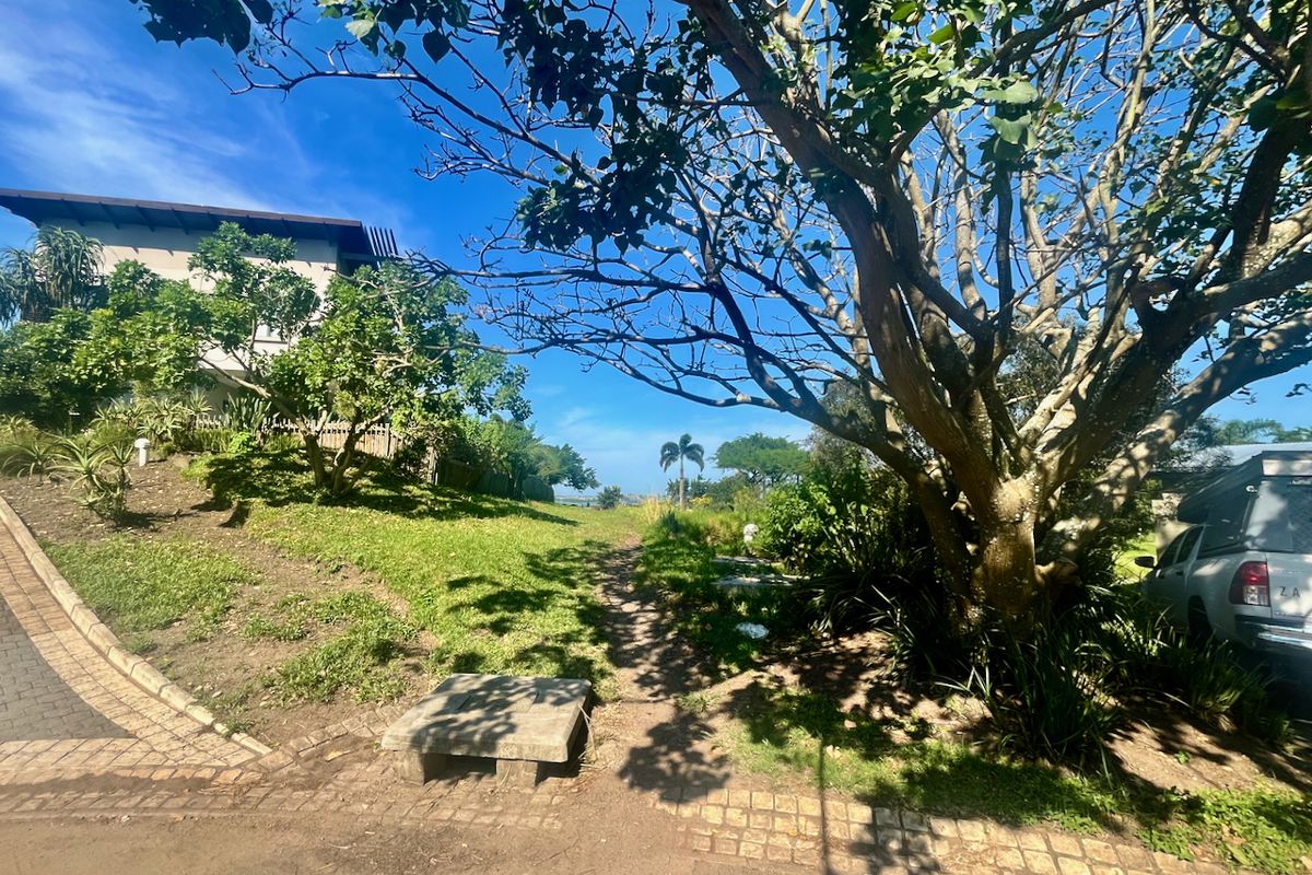 EXCLUSIVE LAND OPPORTUNITY IN PALM LAKES ESTATE - Photo 5