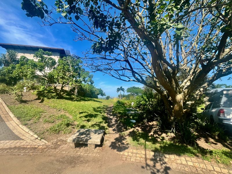 EXCLUSIVE LAND OPPORTUNITY IN PALM LAKES ESTATE - Photo 5