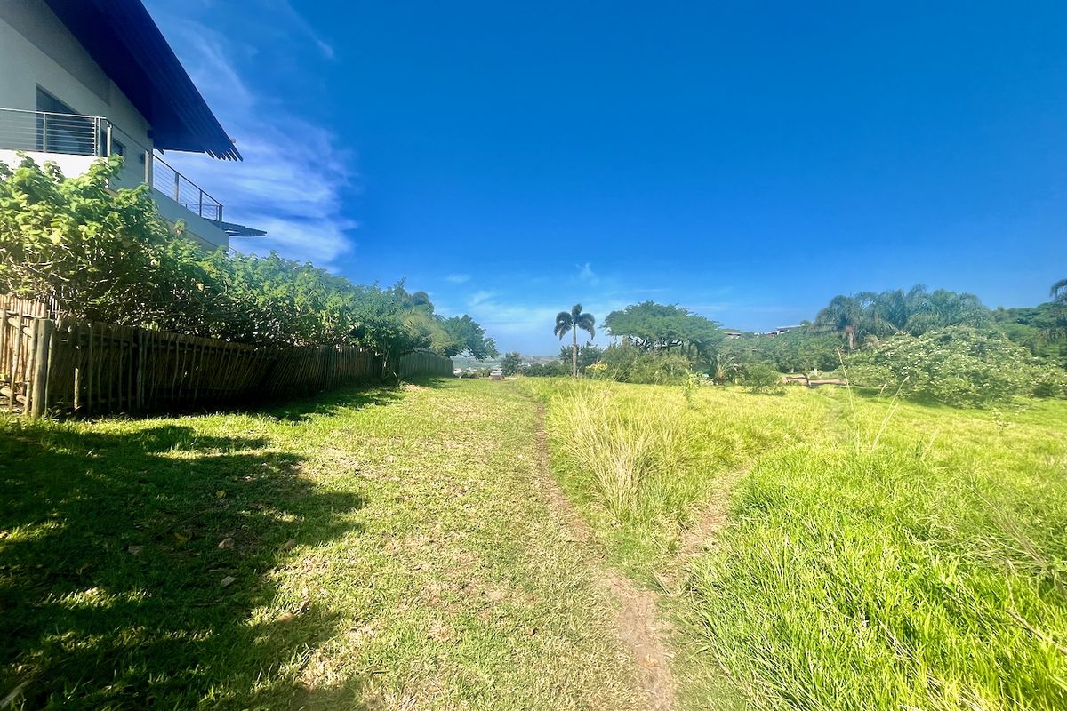 EXCLUSIVE LAND OPPORTUNITY IN PALM LAKES ESTATE - Photo 3