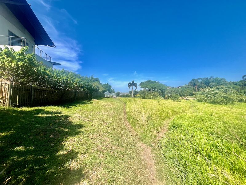 EXCLUSIVE LAND OPPORTUNITY IN PALM LAKES ESTATE - Photo 3