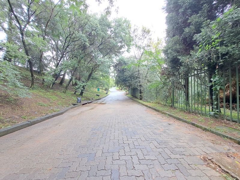 A paved driveway approach lined with mature trees and metal perimeter fencing, providing access to the property grounds.