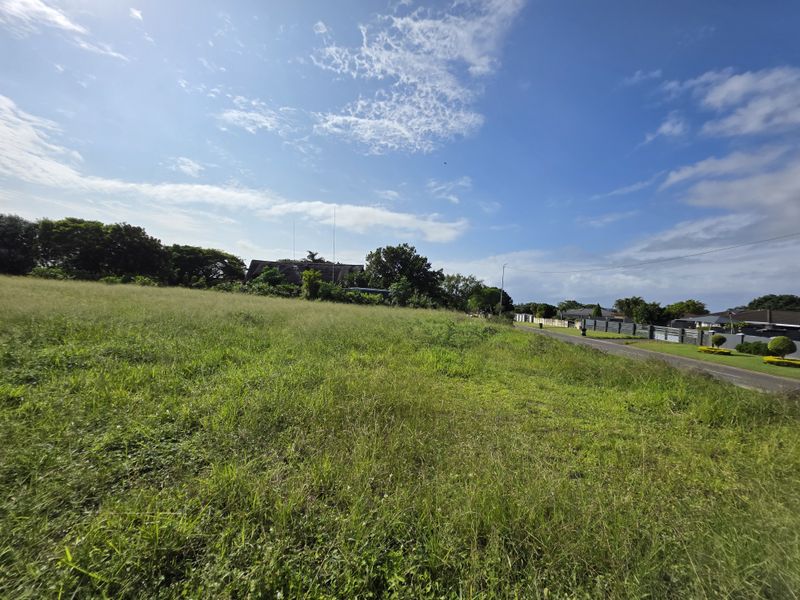 A vacant residential plot of land featuring open grassy terrain adjacent to a paved street in a suburban neighborhood.