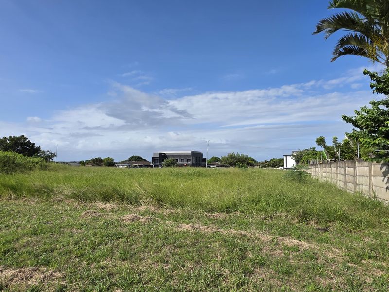 A vacant residential plot featuring established boundary walling and open grassed terrain, situated in a developed neighborhood.