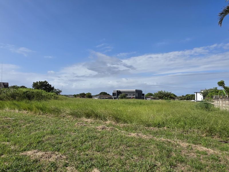 A vacant residential plot of land featuring open grass areas and a boundary wall, offering a clear space for future development.