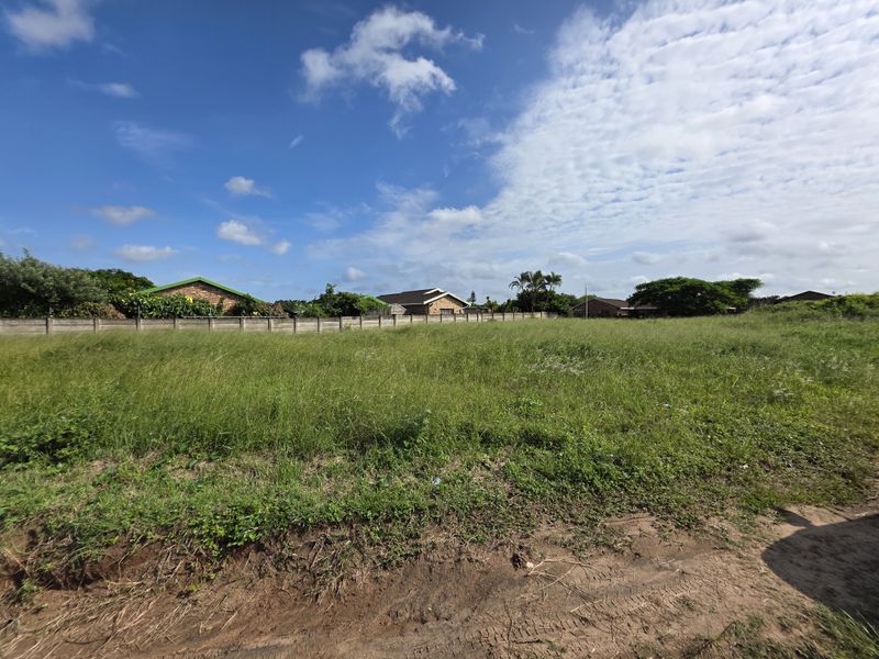 A vacant residential plot featuring overgrown grass and a perimeter wall, offering a clear space for future development in a established neighborhood.