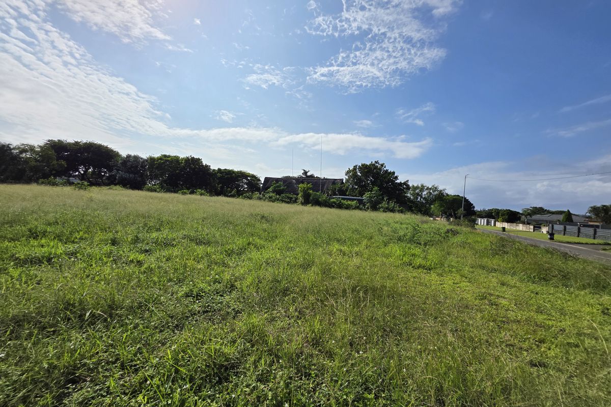 A wide-angle view of a vacant residential plot featuring natural grassland and mature trees, situated adjacent to a paved street.
