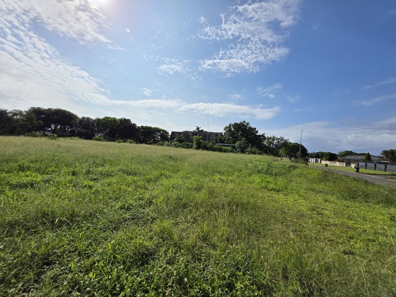 A wide-angle view of a vacant residential plot featuring natural grassland and mature trees, situated adjacent to a paved street.