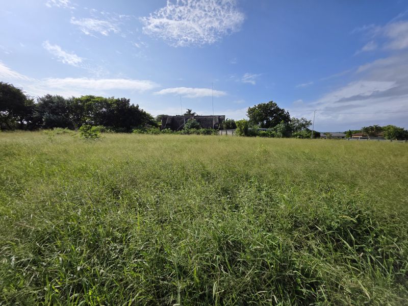 A wide-angle view of a vacant residential plot featuring open grassland with mature trees in the background.