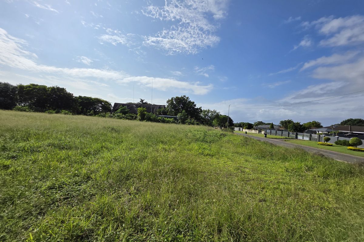 A vacant residential plot of land featuring open grassy terrain adjacent to a paved street in a suburban neighborhood.