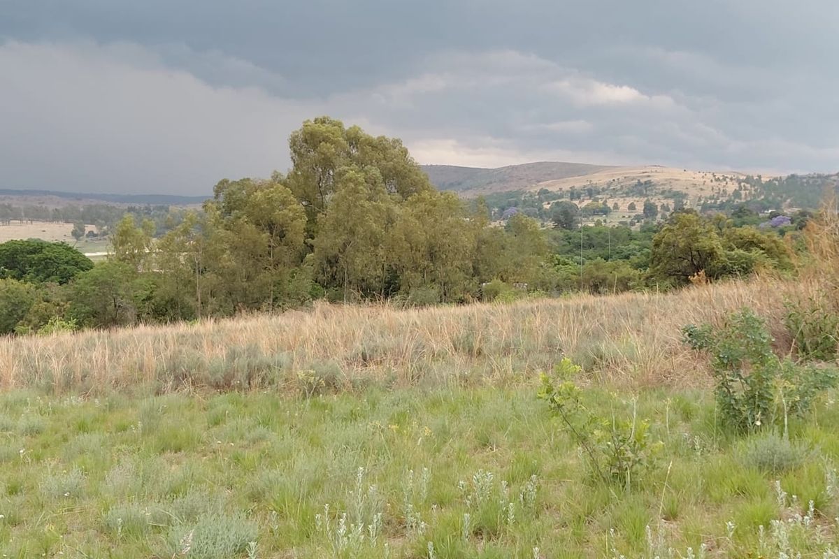 Experience country living at its finest — serene, secure, and full of possibility on this 12ha - Photo 2