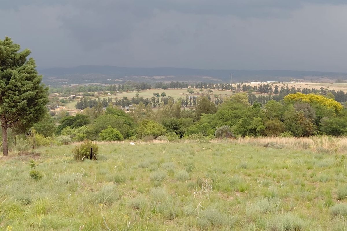 Experience country living at its finest — serene, secure, and full of possibility on this 12ha - Photo 3