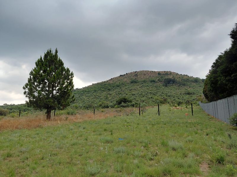 Experience country living at its finest — serene, secure, and full of possibility on this 12ha - Photo 8