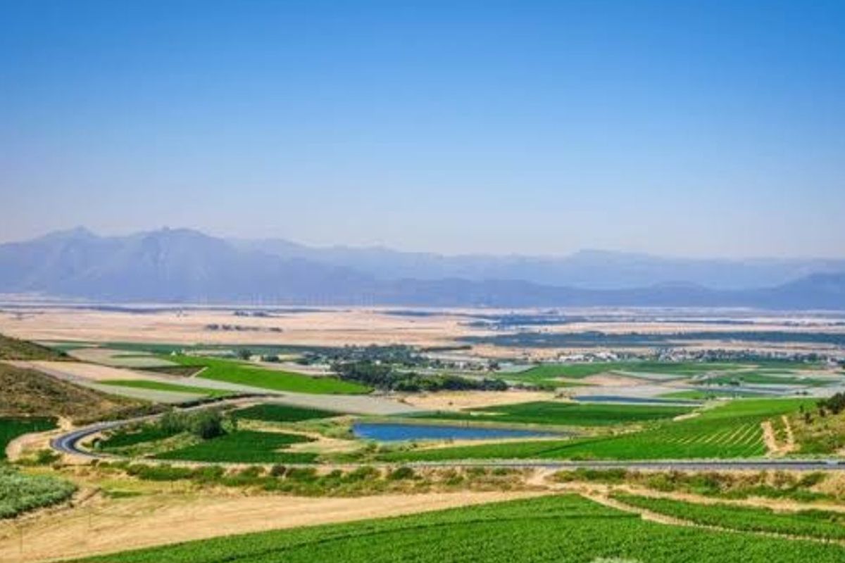 Vacant land for sale in Darling - Photo 5