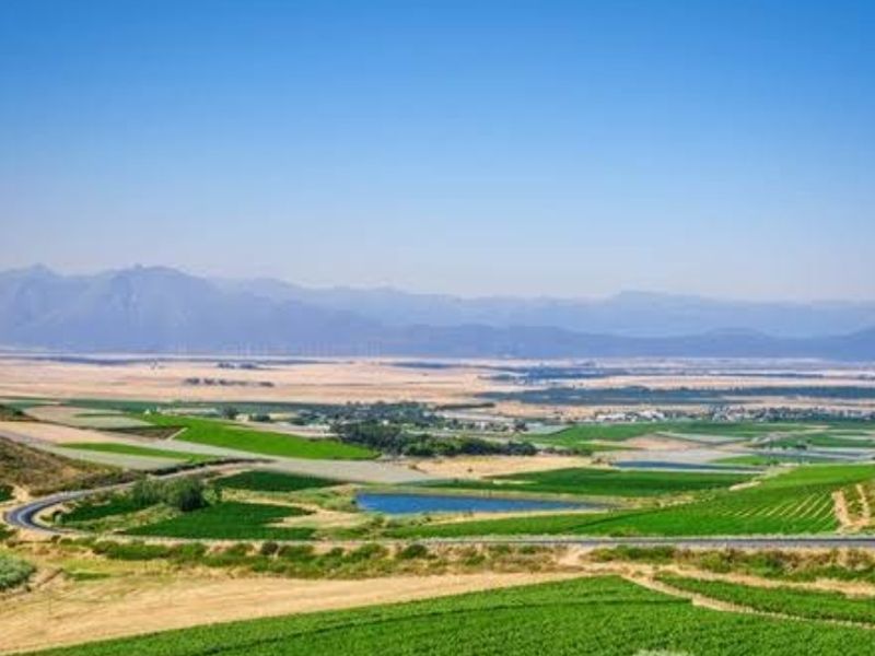 Vacant land for sale in Darling - Photo 5