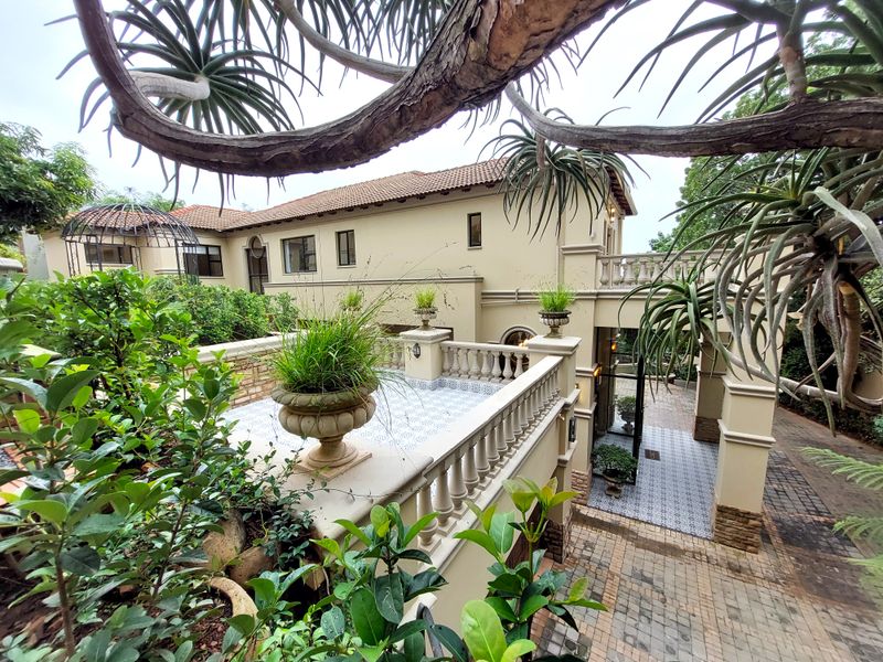 Magnificent grandeur on the Ridge in SAFE WATERKLOOF (Ridge) - Photo 4