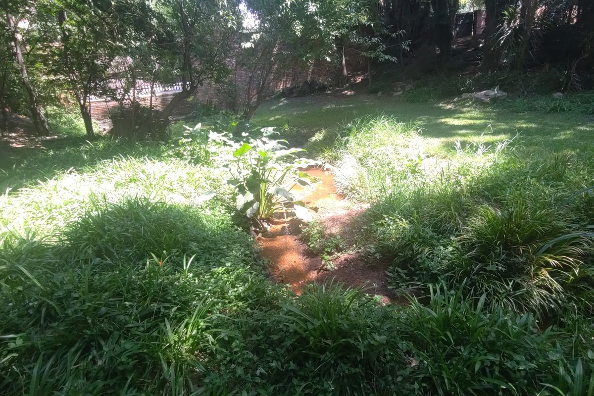 2099 Vacand Stand in Heidelberg Central - Photo 4