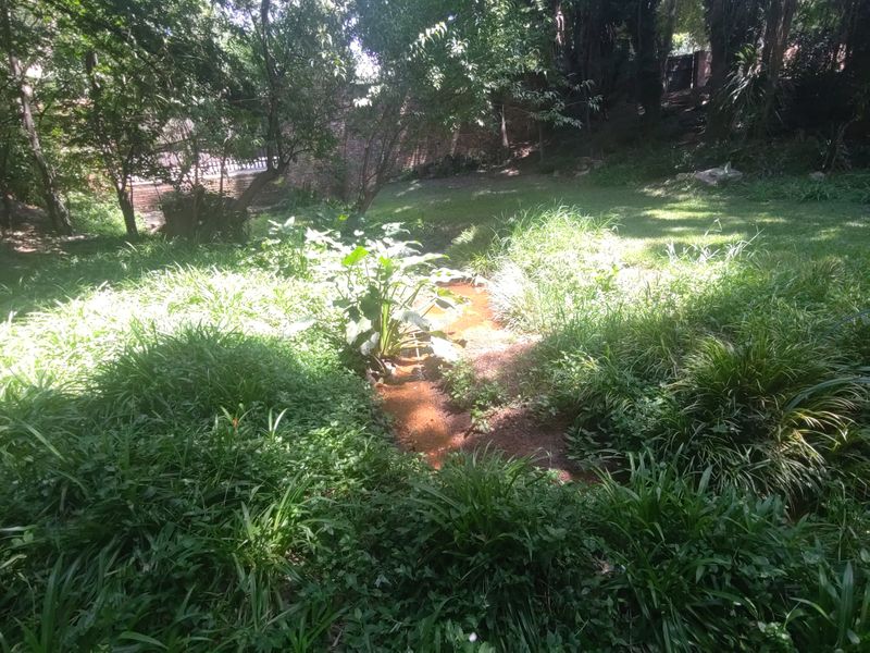 2099 Vacand Stand in Heidelberg Central - Photo 4