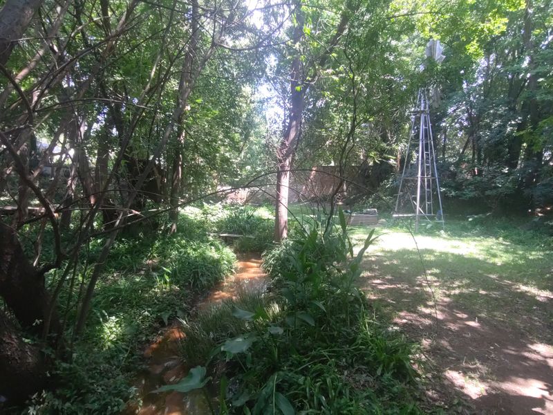 2099 Vacand Stand in Heidelberg Central - Photo 6