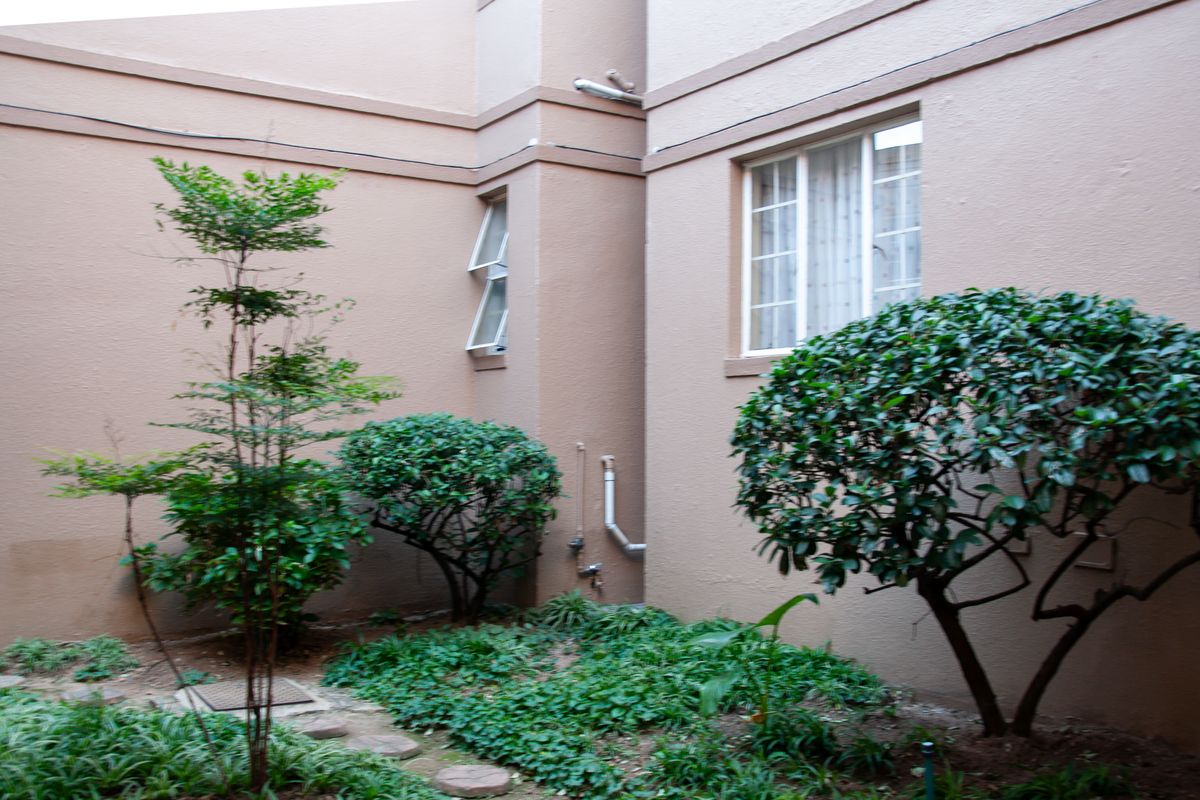 A view of the rear exterior building facade featuring a small landscaped garden area and external window fixtures.