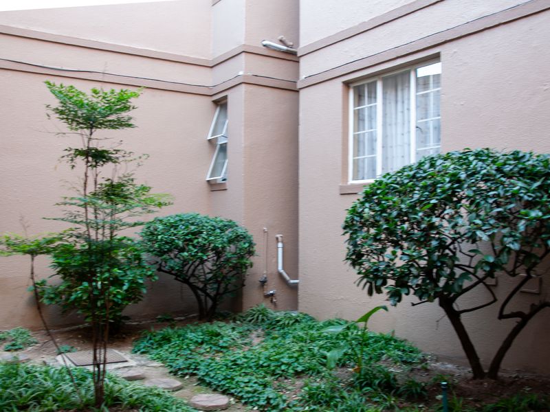 A view of the rear exterior building facade featuring a small landscaped garden area and external window fixtures.