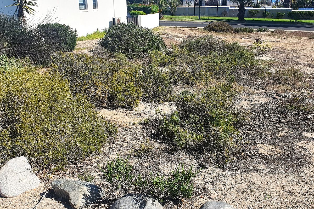 Build your dream home in secure seaside Shelley Point golf estate - Photo 3