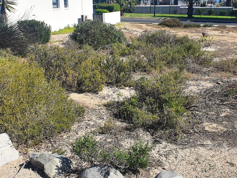 Build your dream home in secure seaside Shelley Point golf estate - Photo 3