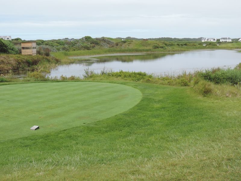 A scenic view of a well-maintained golf course green overlooking a natural pond and surrounding coastal landscape.