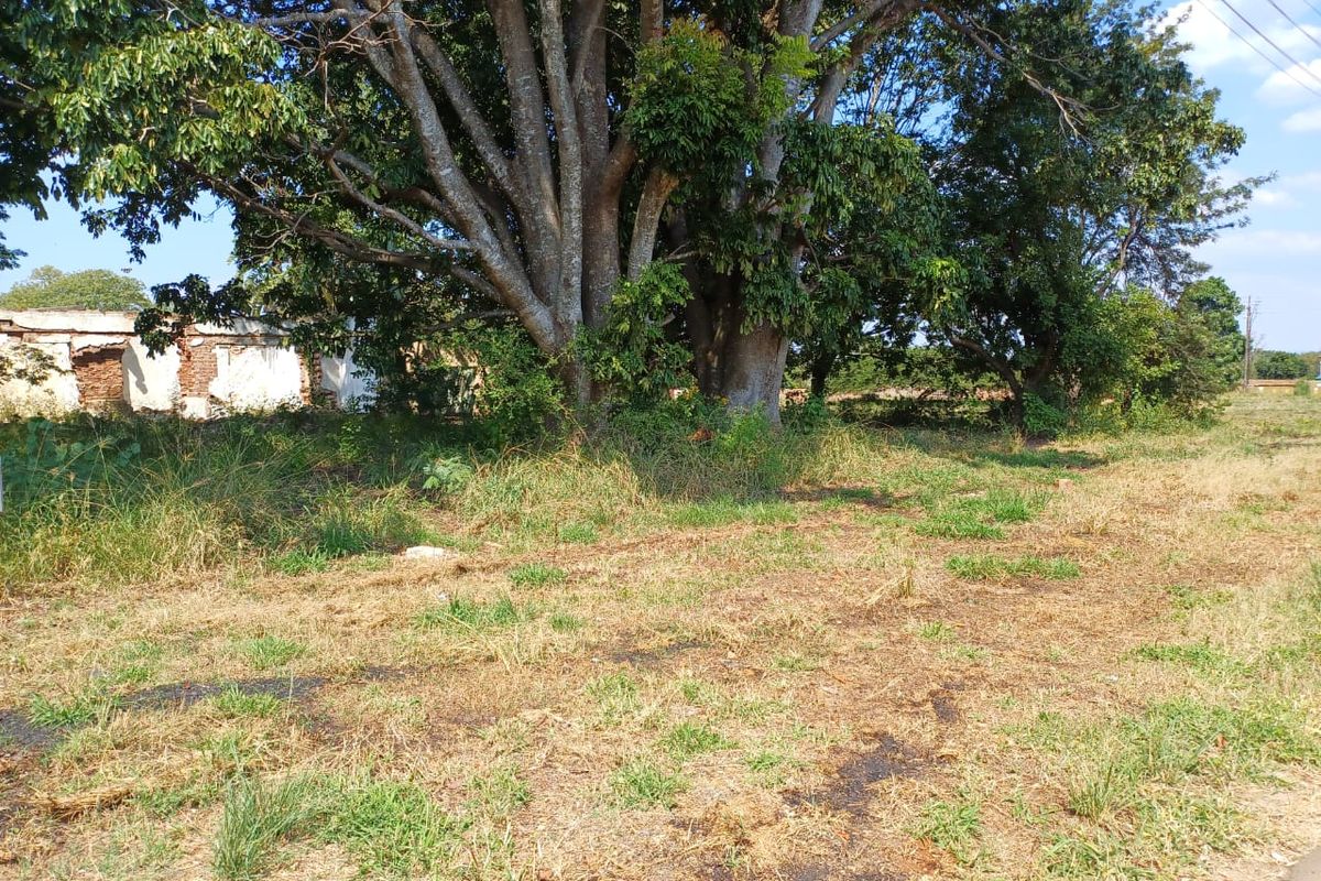 Vacant Stand For Sale in old town, Louis Trichardt - Photo 3