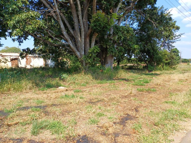 Vacant Stand For Sale in old town, Louis Trichardt - Photo 3